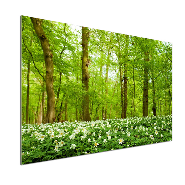 Platte für Küchenrückwand Blumen im Wald