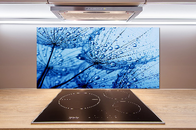 Glasrückwand für die küche Löwenzahnsamen