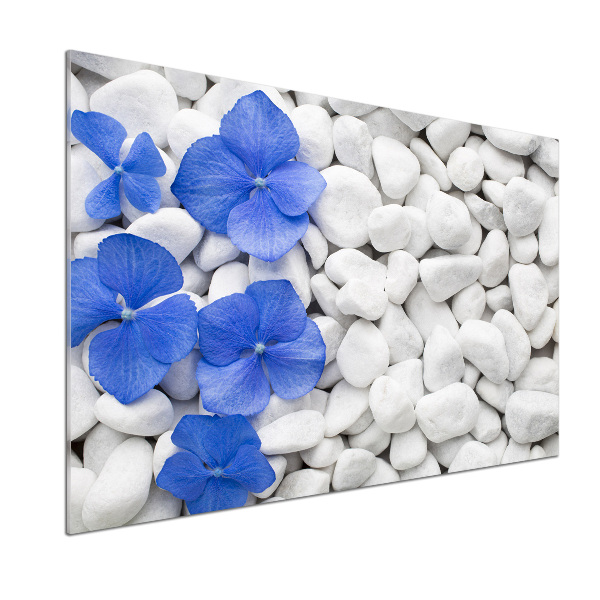 Glasrückwand für die küche Hortensie