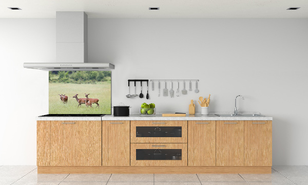 Glasrückwand für die küche Reh mit Jungtieren