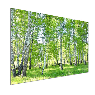 Küchen wandpaneel Birken