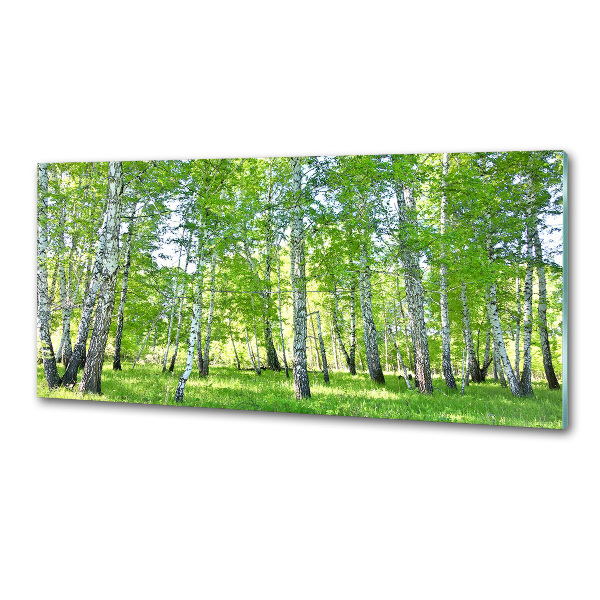 Küchen wandpaneel Birken