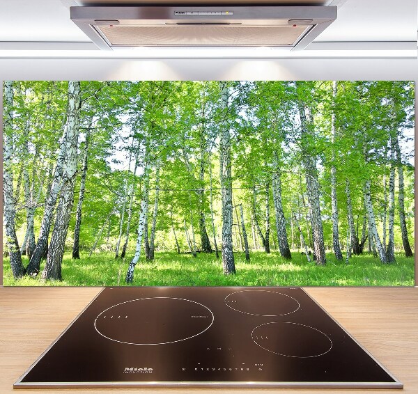 Küchen wandpaneel Birken