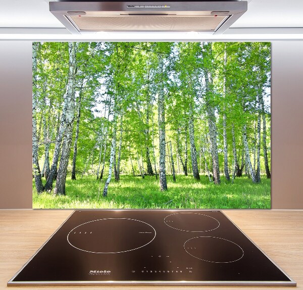 Küchen wandpaneel Birken