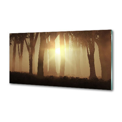 Glasrückwand für die küche Nebel im Wald