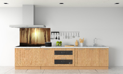 Glasrückwand für die küche Nebel im Wald