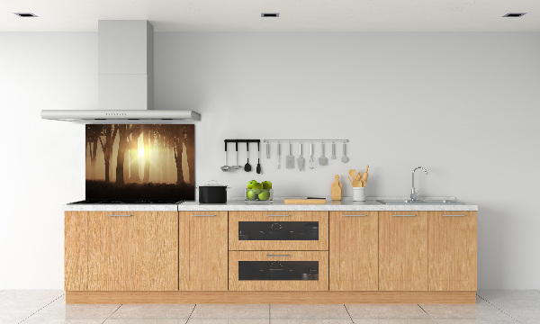 Glasrückwand für die küche Nebel im Wald