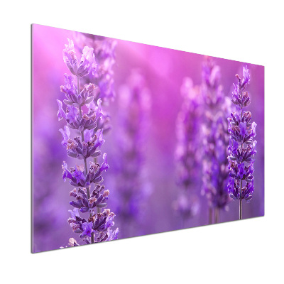 Platte für Küchenrückwand Lavendel