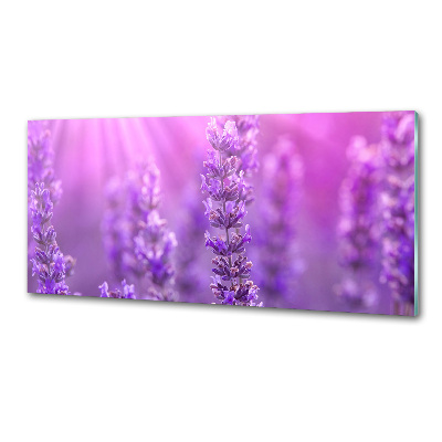 Platte für Küchenrückwand Lavendel