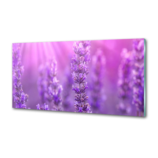 Platte für Küchenrückwand Lavendel