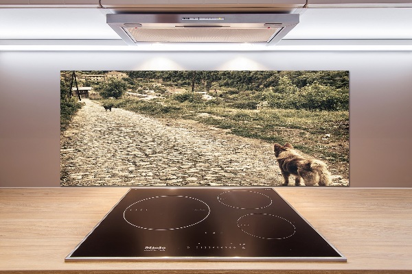 Küchen wandpaneel Zwei Hunde auf einem Hügel