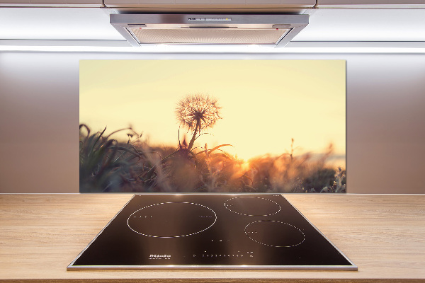 Glasrückwand für die küche Löwenzahn