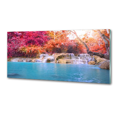 Glasrückwand für die küche Wasserfall im Wald