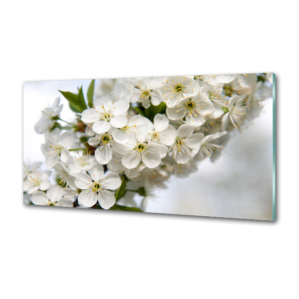 Platte für Küchenrückwand Kirschblüten