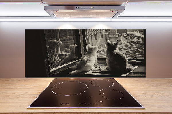 Platte für Küchenrückwand Katzen am Fenster