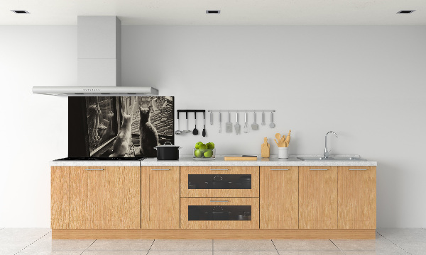 Platte für Küchenrückwand Katzen am Fenster