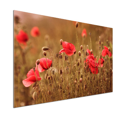 Küchen wandpaneel Mohnblumen-Triptychon