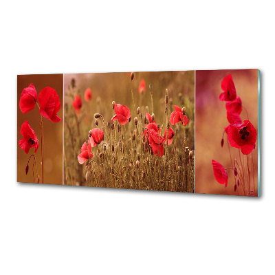 Küchen wandpaneel Mohnblumen-Triptychon