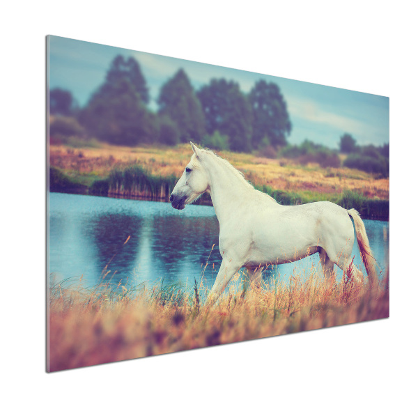 Glasrückwand für die küche Weißer Pferdesee