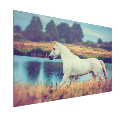 Glasrückwand für die küche Weißer Pferdesee