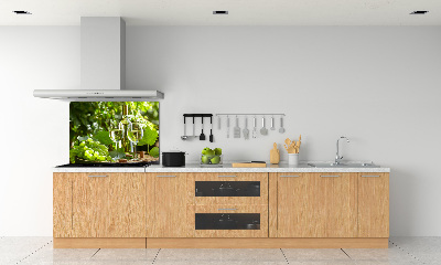 Platte für Küchenrückwand Weißwein und Früchte