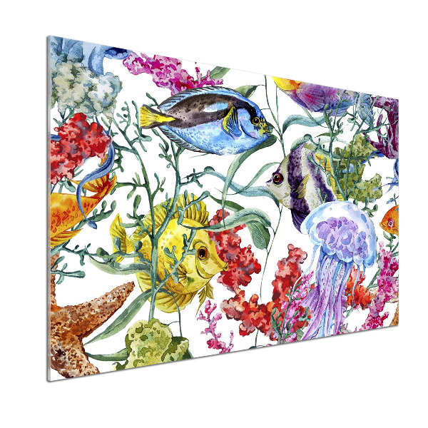 Glasrückwand für die küche Korallenriff