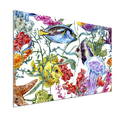 Glasrückwand für die küche Korallenriff