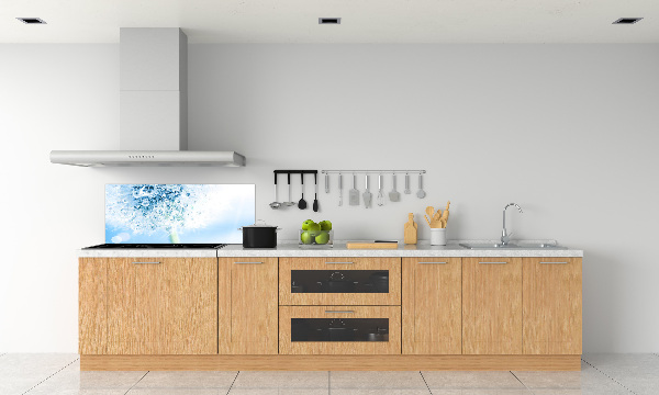 Glasrückwand für die küche Löwenzahn