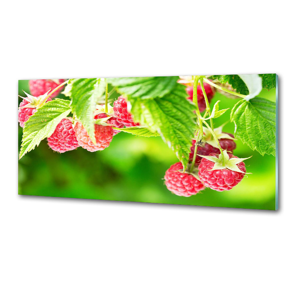 Platte für Küchenrückwand Himbeeren im Garten