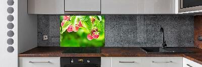 Platte für Küchenrückwand Himbeeren im Garten