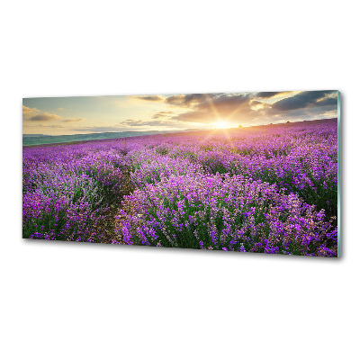 Küchen wandpaneel Lavendelfeld