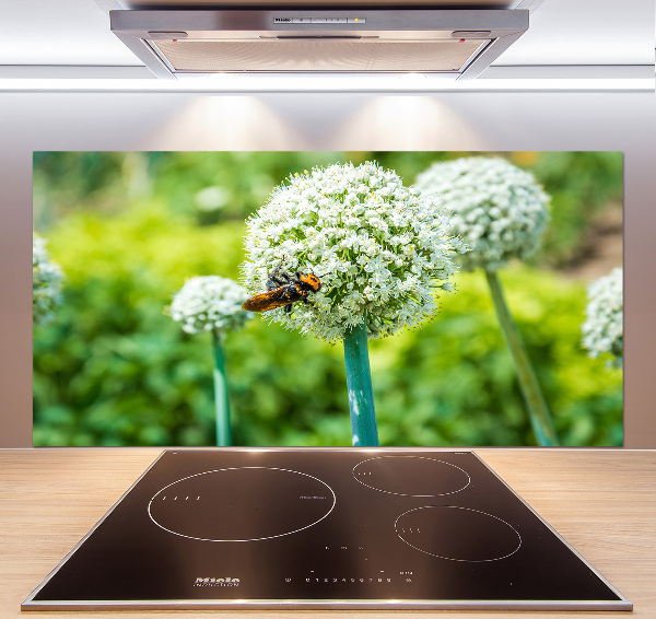 Glasrückwand für die küche Blühender Knoblauch