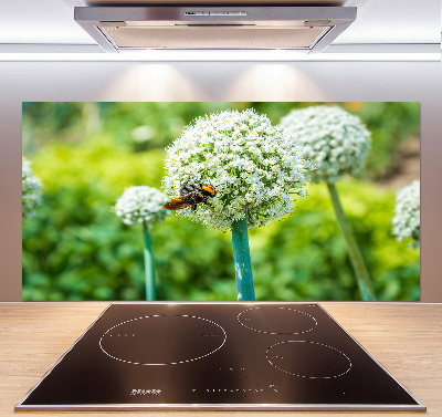 Glasrückwand für die küche Blühender Knoblauch