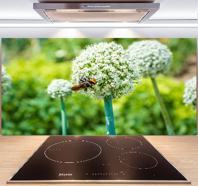 Glasrückwand für die küche Blühender Knoblauch