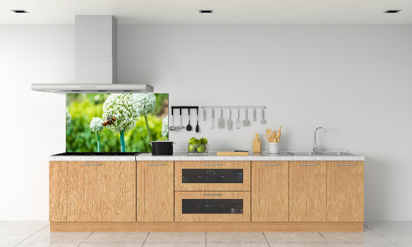 Glasrückwand für die küche Blühender Knoblauch