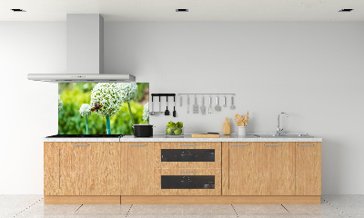 Glasrückwand für die küche Blühender Knoblauch