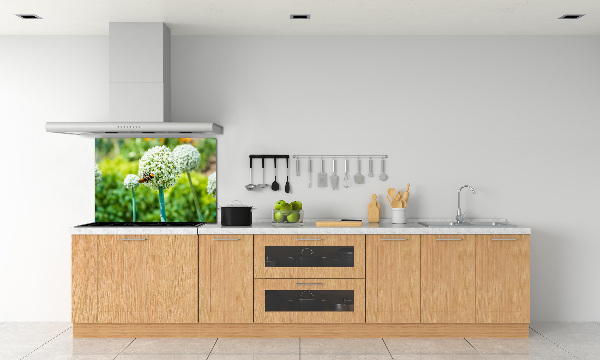 Glasrückwand für die küche Blühender Knoblauch