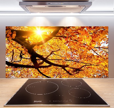 Platte für Küchenrückwand Herbstbaumkrone