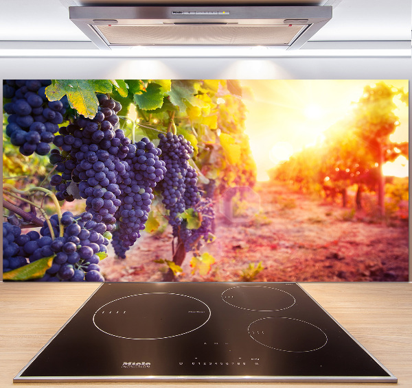 Glasrückwand für die küche Weinreben