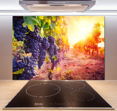 Glasrückwand für die küche Weinreben