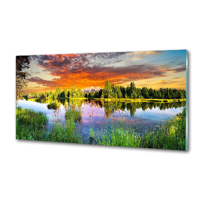 Küchen wandpaneel Fluss im Wald