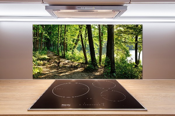 Glasrückwand für die küche Pfad in der Wiese