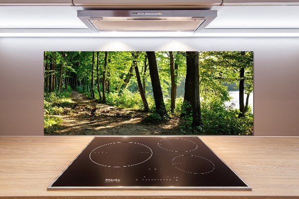 Glasrückwand für die küche Pfad in der Wiese