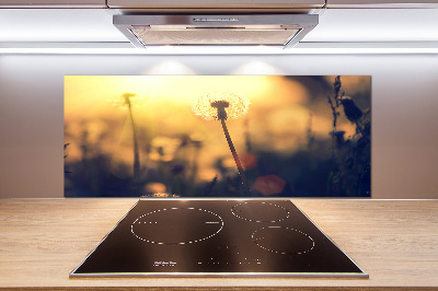 Platte für Küchenrückwand Löwenzahn