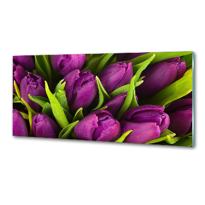 Glasrückwand für die küche Lila Tulpen