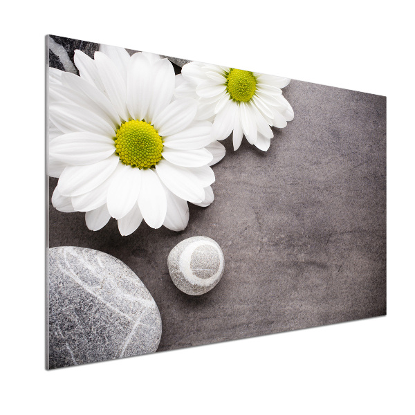 Platte für Küchenrückwand Gerbera