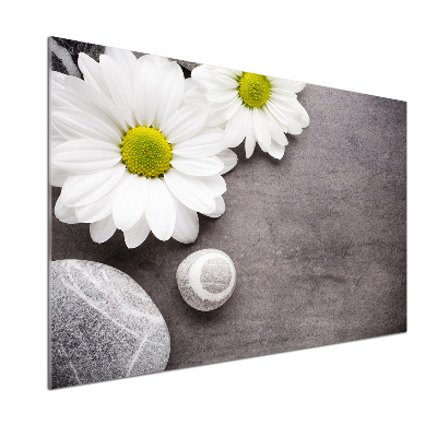 Platte für Küchenrückwand Gerbera