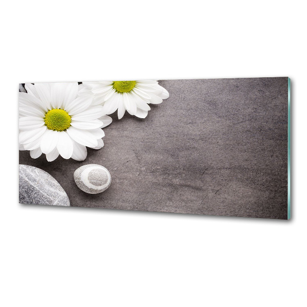 Platte für Küchenrückwand Gerbera