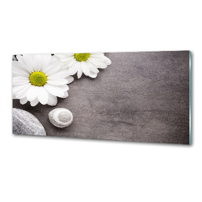 Platte für Küchenrückwand Gerbera