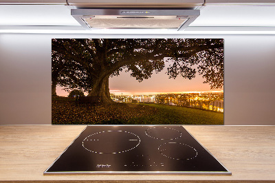 Platte für Küchenrückwand Alter Baum